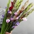 Букет из 25 гладиолусов микс в Краснозаводске Букет из 25 гладиолусов микс в Краснозаводске