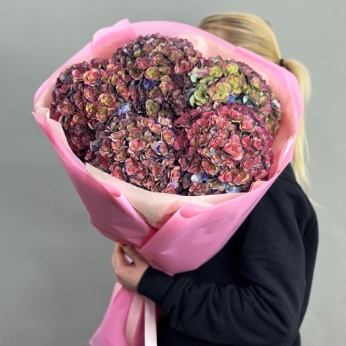 Букет из 5 космических Голландских гортензий в Краснозаводске