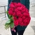 51 малиновая тепличная роза Шангрила (70 см) в Краснозаводске 51 малиновая тепличная роза Шангрила (70 см) в Краснозаводске